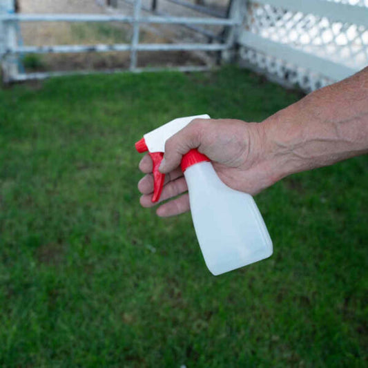 How To Train Your Baby Goats
