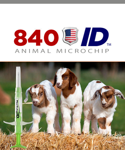 Choosing a Goat Identification Method