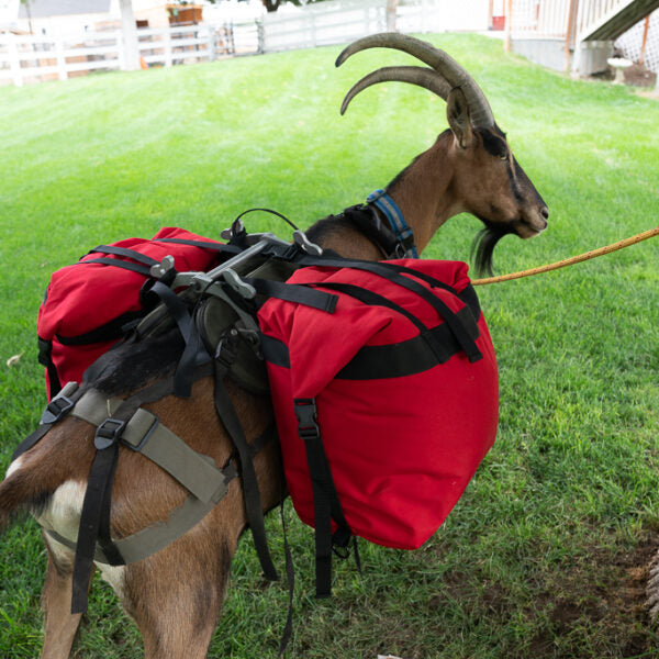 Think About Options When It Comes To Goat Panniers