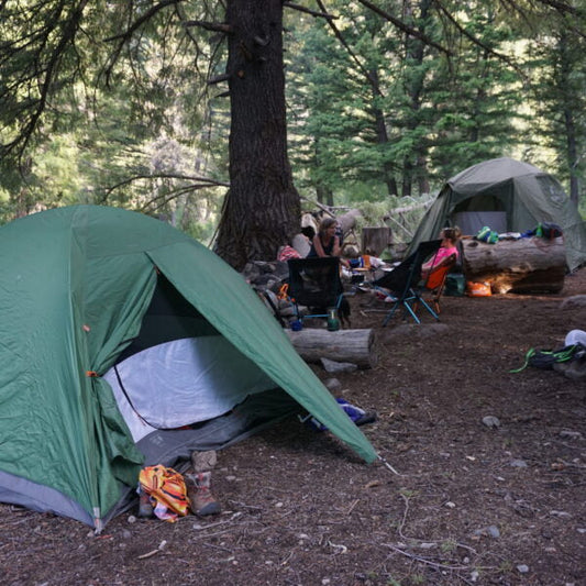 How to Set Up Your Campsite With Pack Goats