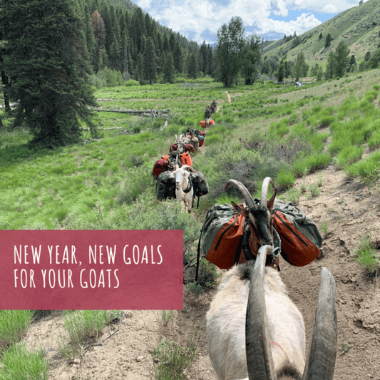 New Year New Goals For Your Goats