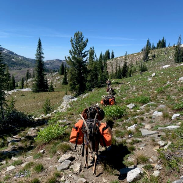 A Bug Out Strategy with Pack Goats