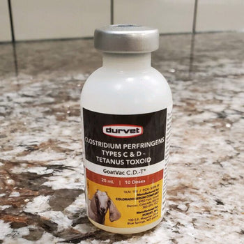 CDT Vaccination For Baby Goats – Pack Goats