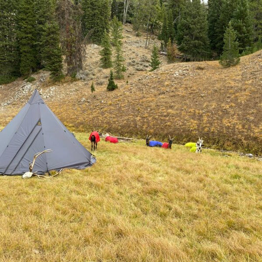 Equipment You Will Need for Late Season Goat Packing