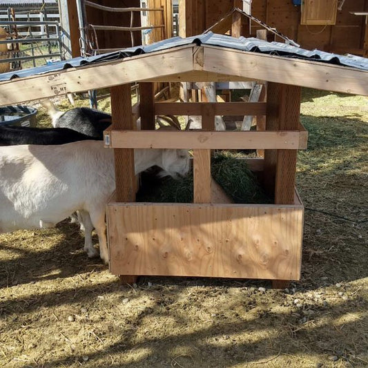 Goat Feeder for Hobby Goat Owners