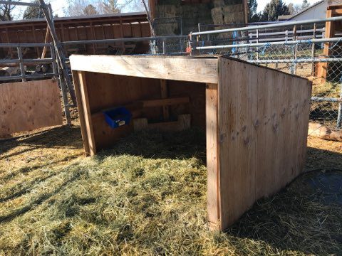 How To Set Up A Goat Shelter