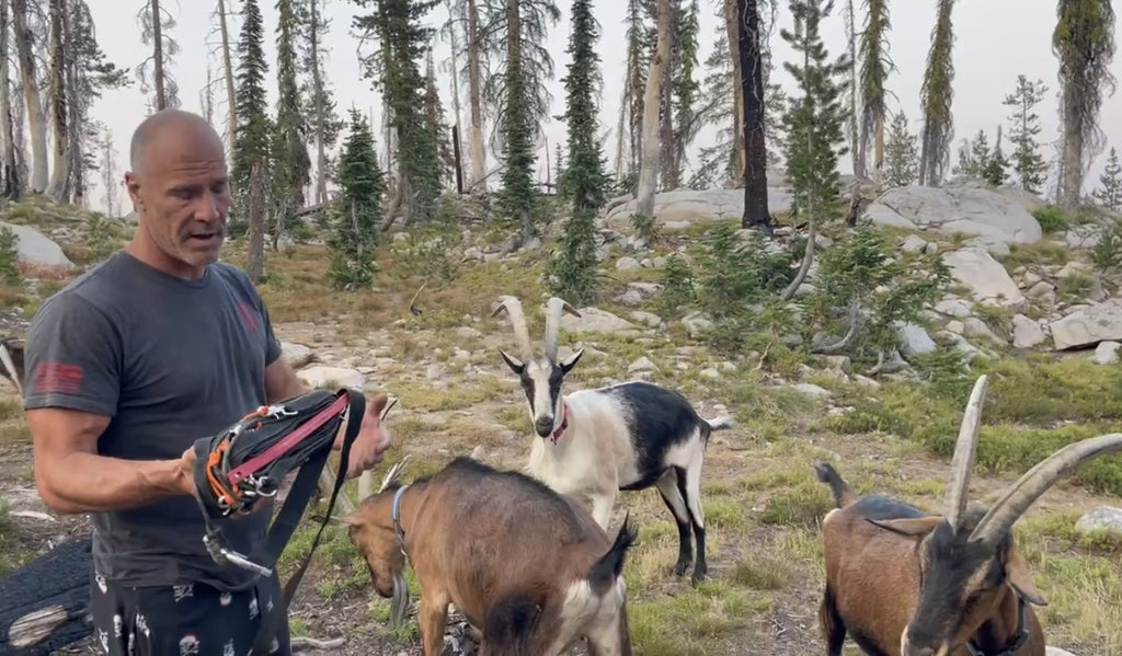 Setting Up Goat Camp