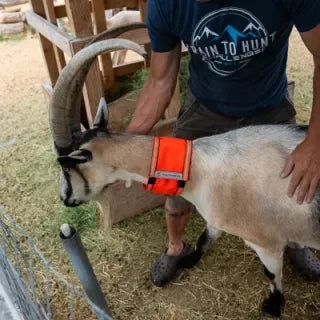 Helpful Products For Goats During the Fall