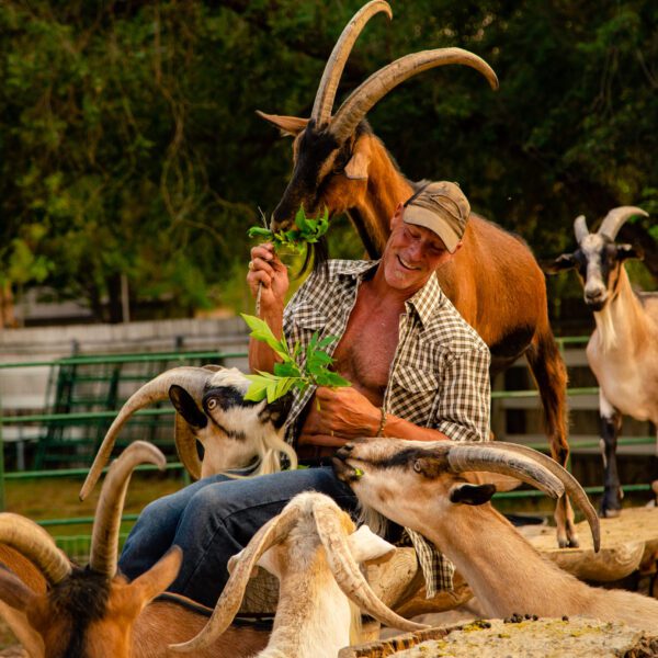 Your Source For Goat Information and Gear