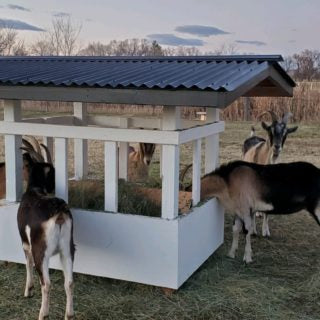 Build Your Own Goat Feeder