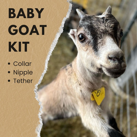 Baby Goat Kit – Collar, Tether & Bottle Nipple for Raising Kids