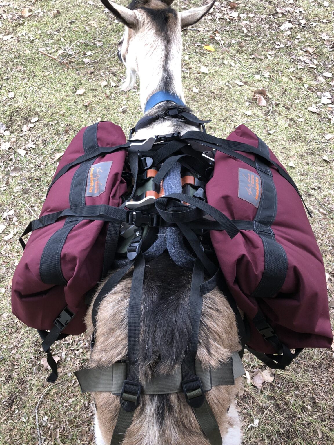 Marc Warnke Signature Series Panniers – Critter Getter Hunter’s Pack Goat Bags (Pair)