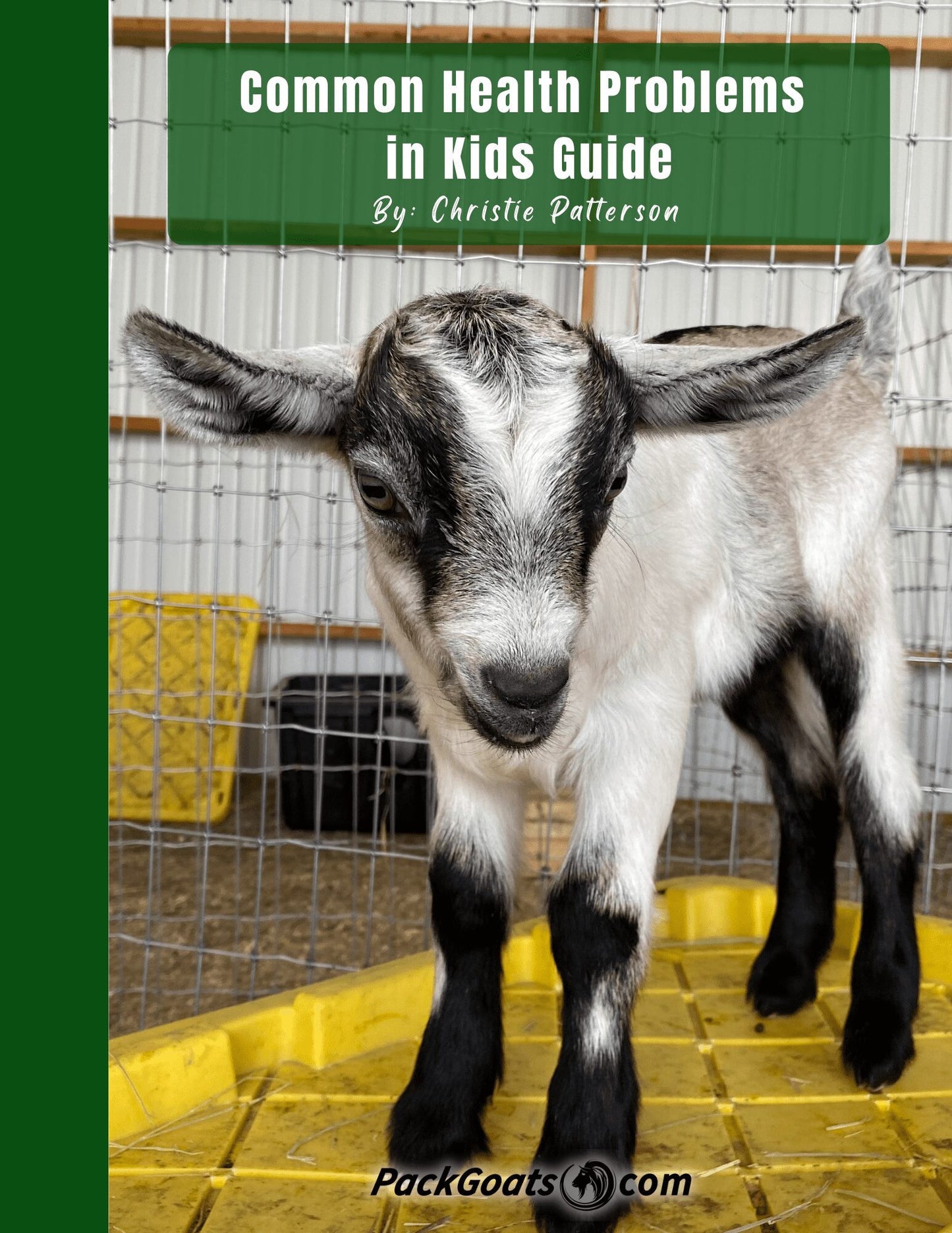 Common Health Problems in Kids Guide
