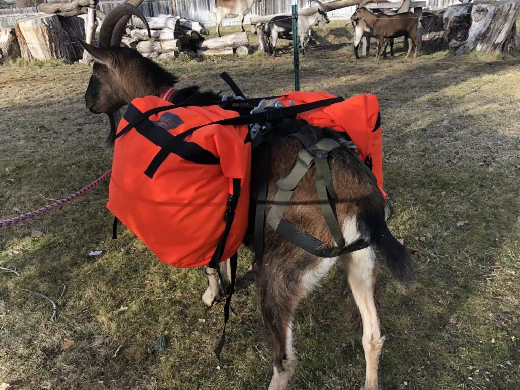 Marc Warnke Signature Series Panniers – Critter Getter Hunter’s Pack Goat Bags (Pair)