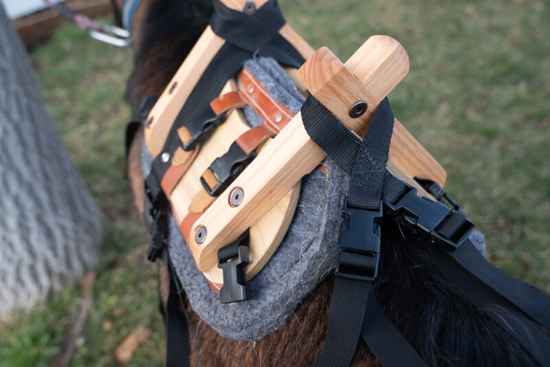 Classic Pack Goat Saddle – Durable Sawbuck Saddle with Modern Comfort Features