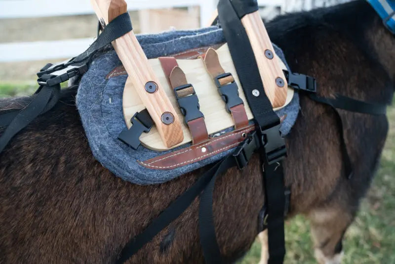 Classic Pack Goat Saddle – Durable Sawbuck Saddle with Modern Comfort Features