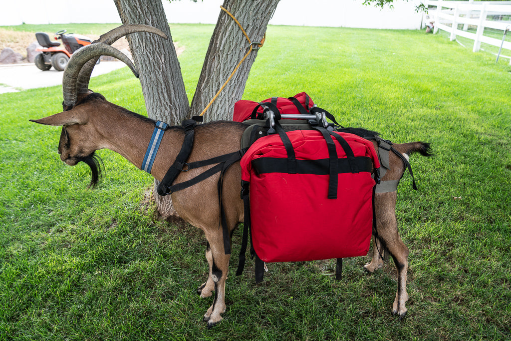 Small Roll Top Pack Goat Panniers – Compact, Durable, & Affordable (Set of 2)