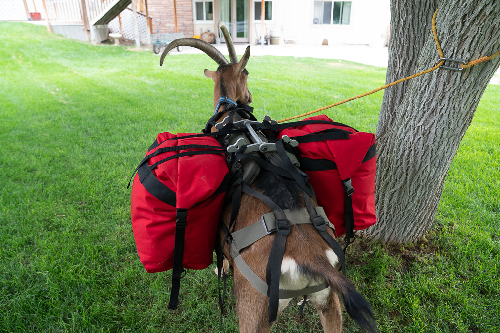 Small Roll Top Pack Goat Panniers – Compact, Durable, & Affordable (Set of 2)