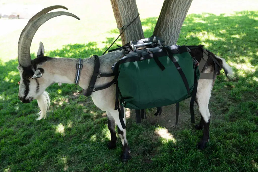 Hardcore Pannier Set – Waterproof, Heavy-Duty Pack Goat Panniers (Set of 2)