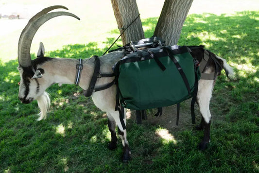 Hardcore Pannier Set – Waterproof, Heavy-Duty Pack Goat Panniers (Set of 2)