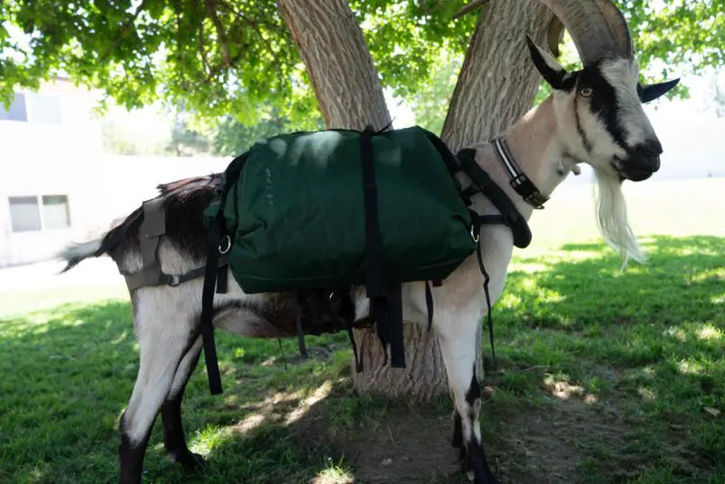 Hardcore Pannier Set – Waterproof, Heavy-Duty Pack Goat Panniers (Set of 2)