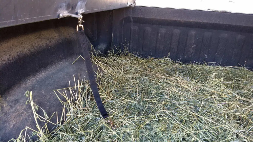 Pack Goat Tether