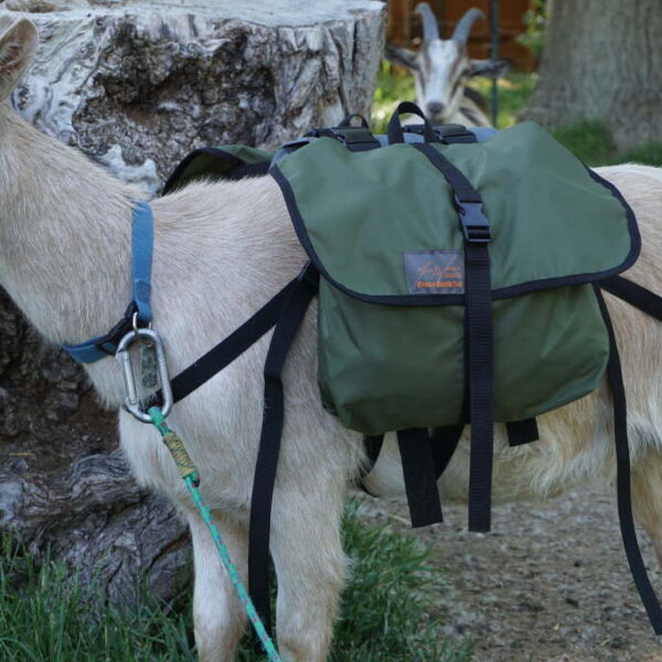 Pack Goat Training & Mini Saddle by Marc Warnke – Lightweight Trainer for Young & Miniature Goats
