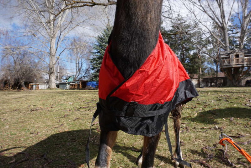 Goat Coat Shell – Waterproof Pack Goat Jacket & Pannier Cover Combo