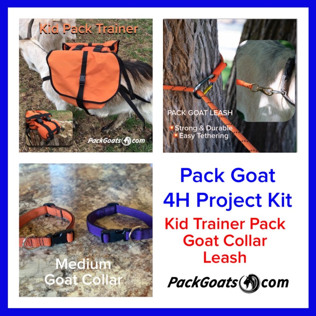 Pack Goat 4H Project Kit – Small Goat Training Starter Kit