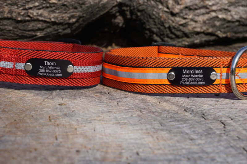 Large Goat Collar – Custom, Durable & Reflective for Pack Goats 50–250 lbs