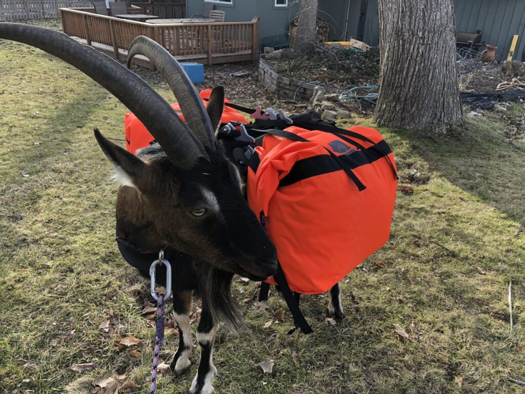 Marc Warnke Signature Series Panniers – Critter Getter Hunter’s Pack Goat Bags (Pair)