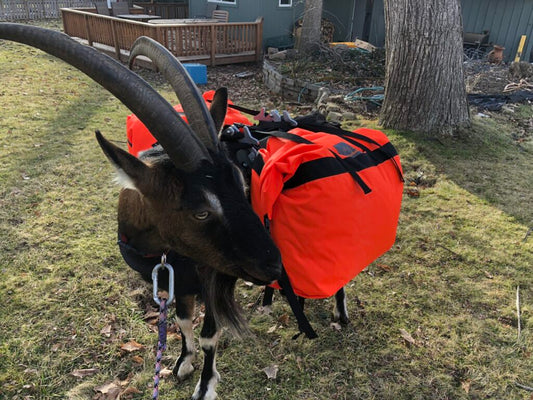 Marc Warnke Signature Series Panniers – Critter Getter Hunter’s Pack Goat Bags (Pair)