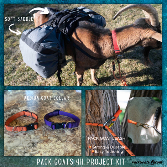 Pack Goat 4H Project Kit – Large Goat Training Saddle, Collar & Leash