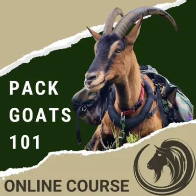 Pack Goat 101 Course