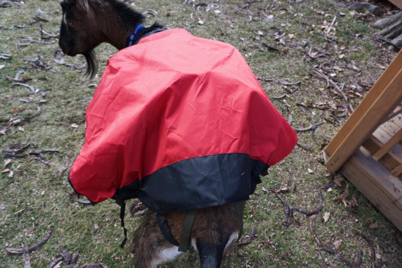 Goat Coat Shell – Waterproof Pack Goat Jacket & Pannier Cover Combo