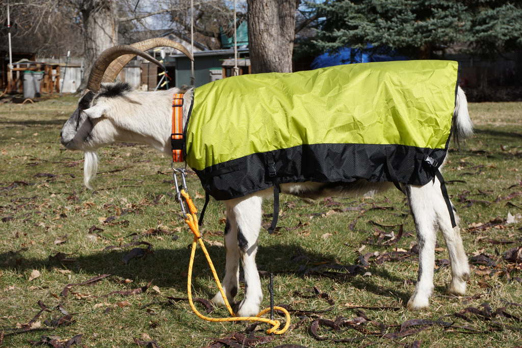 Goat Coat Shell – Waterproof Pack Goat Jacket & Pannier Cover Combo