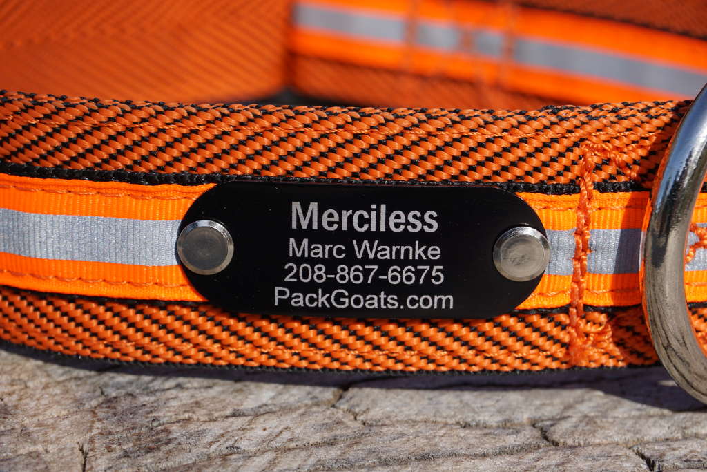 Large Goat Collar – Custom, Durable & Reflective for Pack Goats 50–250 lbs