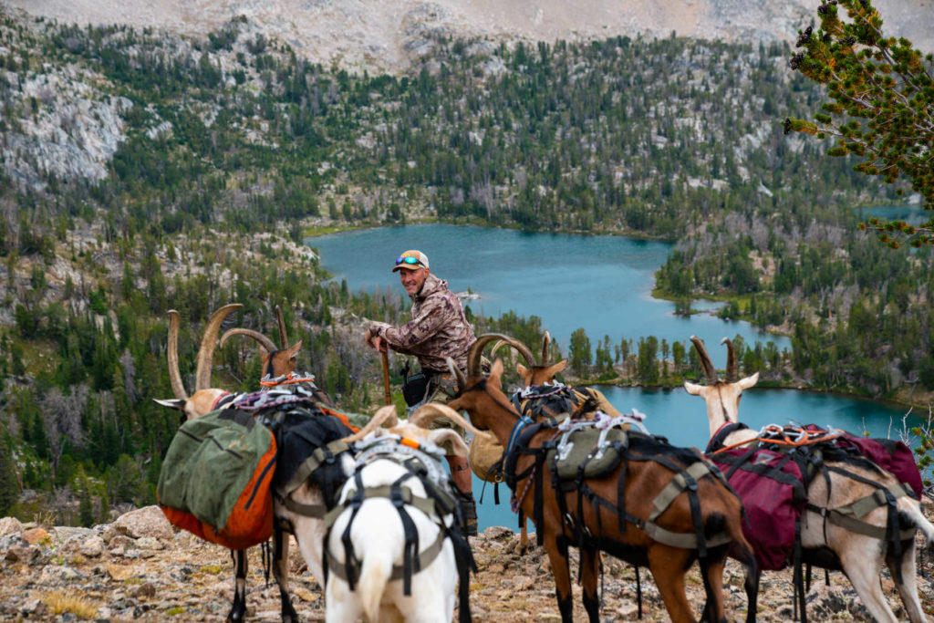 GOAT CLUB MEMBERSHIP