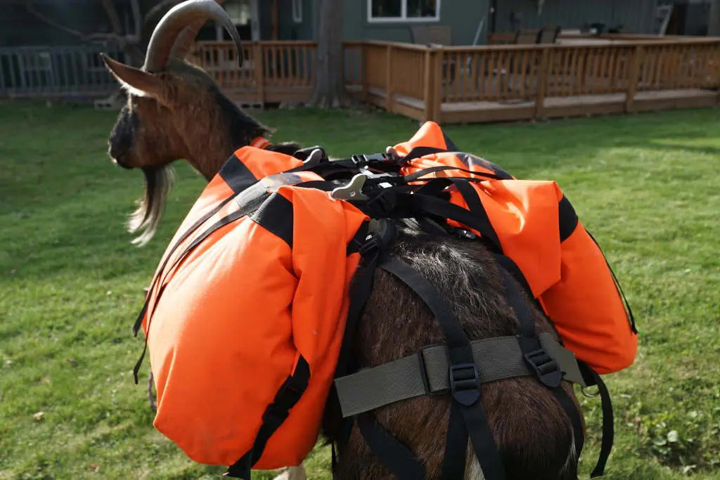 Pack Goat Saddle – Marc Warnke Signature Series
