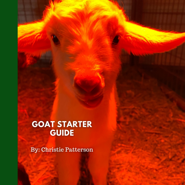 Goat Starter Guide