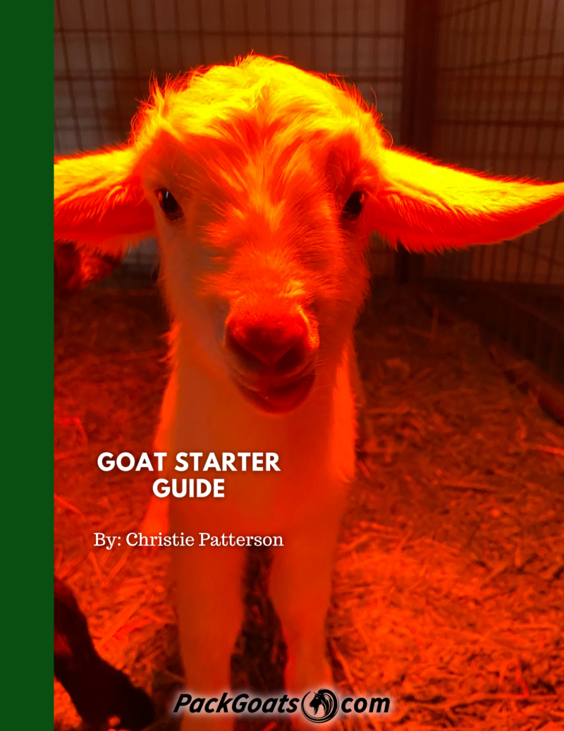 Goat Starter Guide