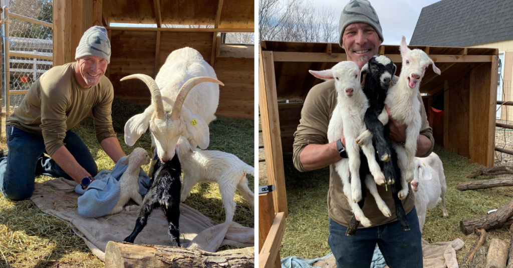 Goat Birthing