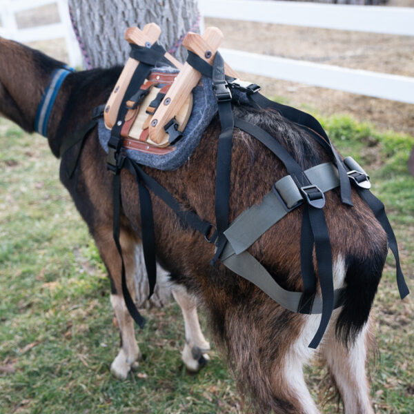 Classic Pack Goat Saddle