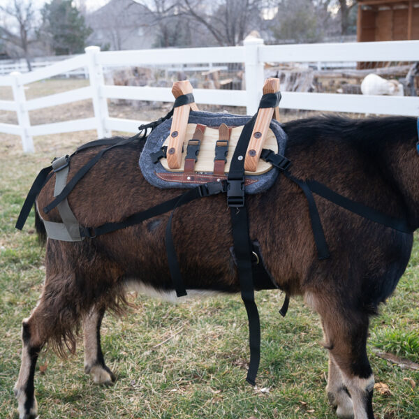 classic pack goat saddle