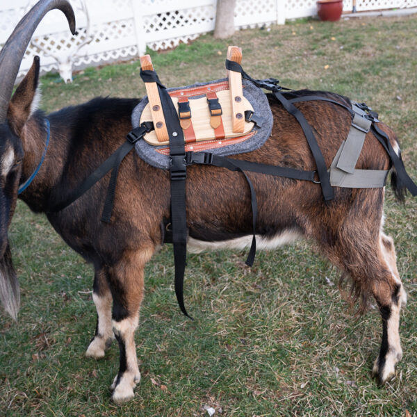 Classic Pack Goat Saddle