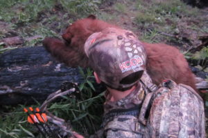 hunting bears with pack goats