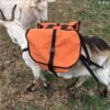 Goat Trainer Soft Saddle