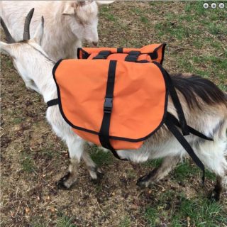 Goat Trainer Soft Saddle