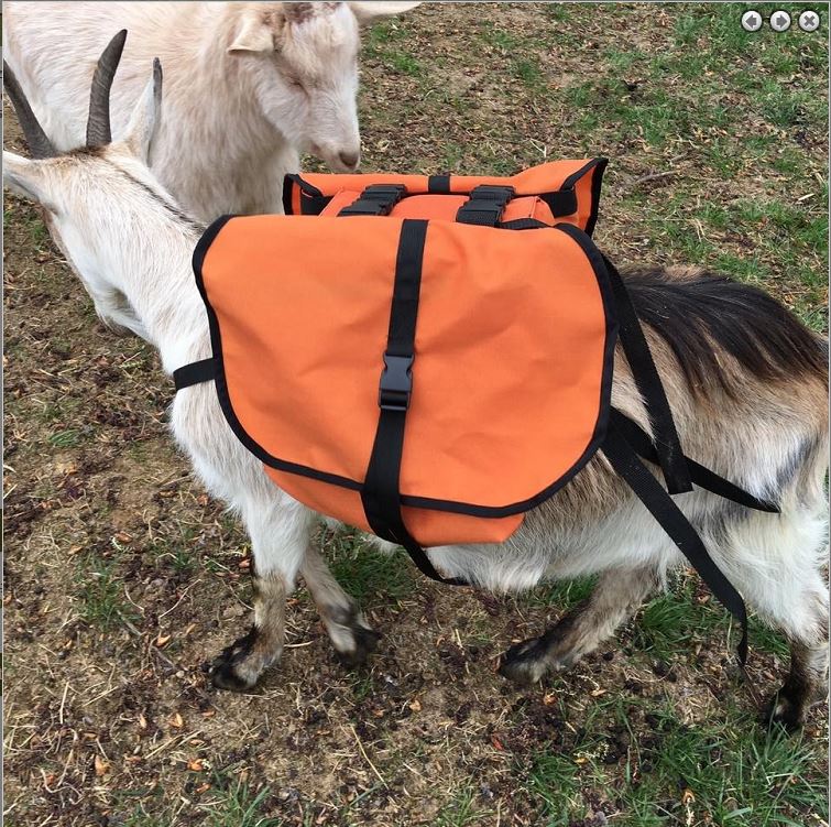 Goat Trainer Soft Saddle