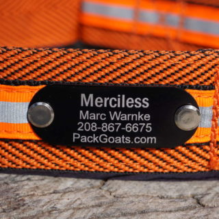 Pack Goat Collar